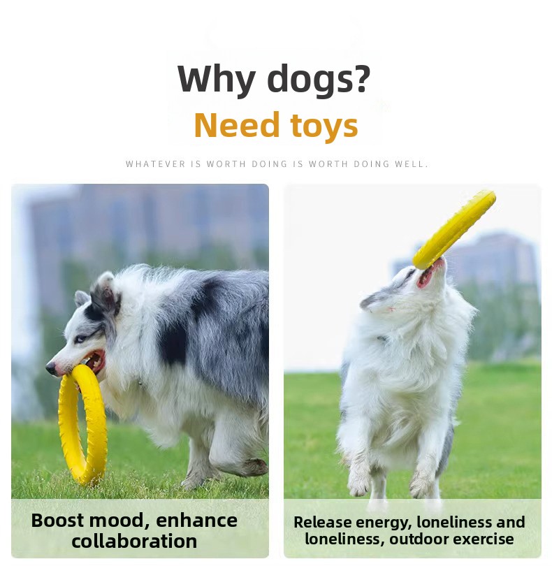 Pet Toy Detail 2