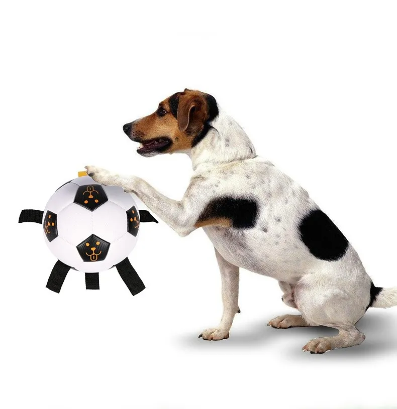 Dog Molar Toy Details
