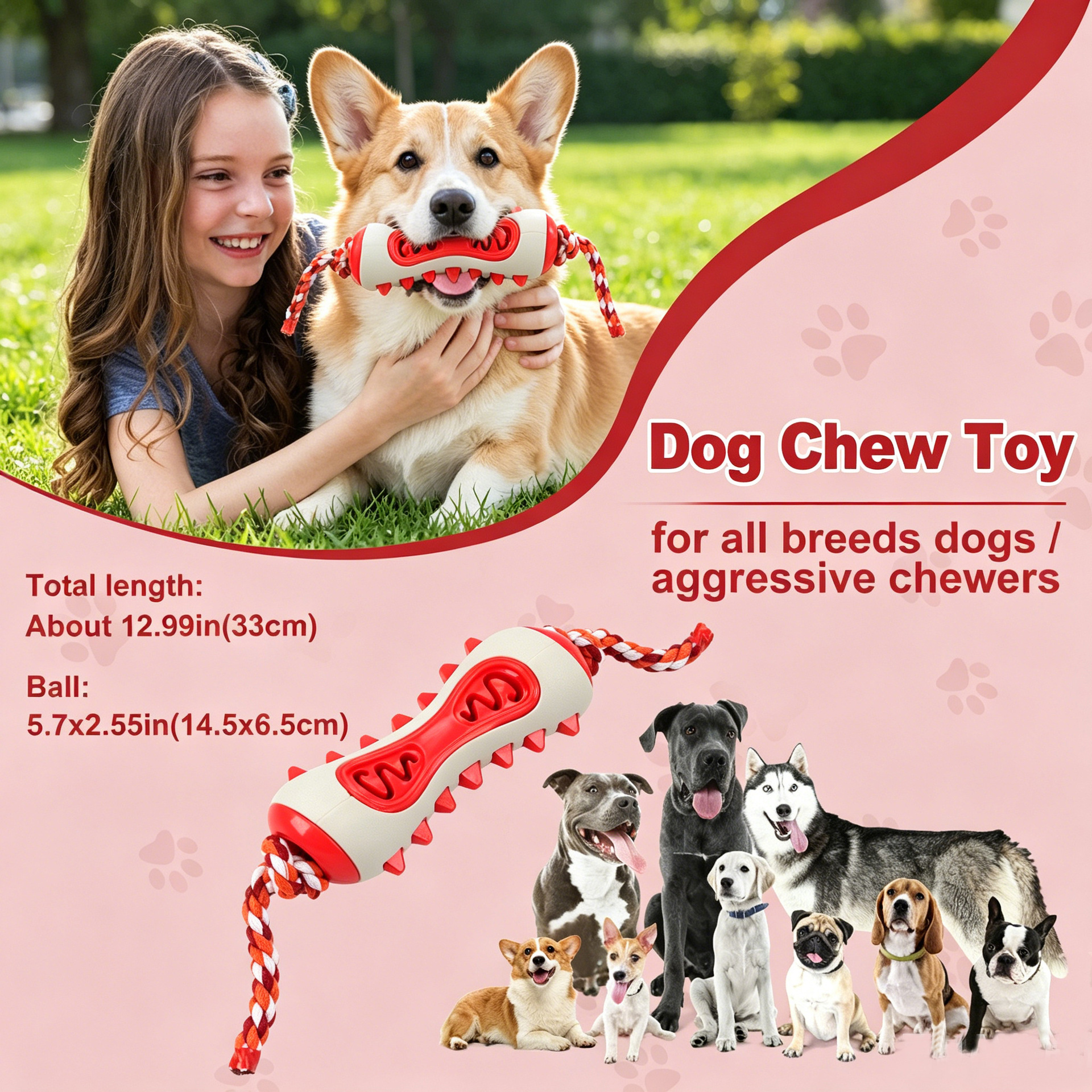 Custom Durable Dog Dental Chew Toy with Rope TPR/Rubber Bite Resistant Interactive Tug Toy for Indoor Use