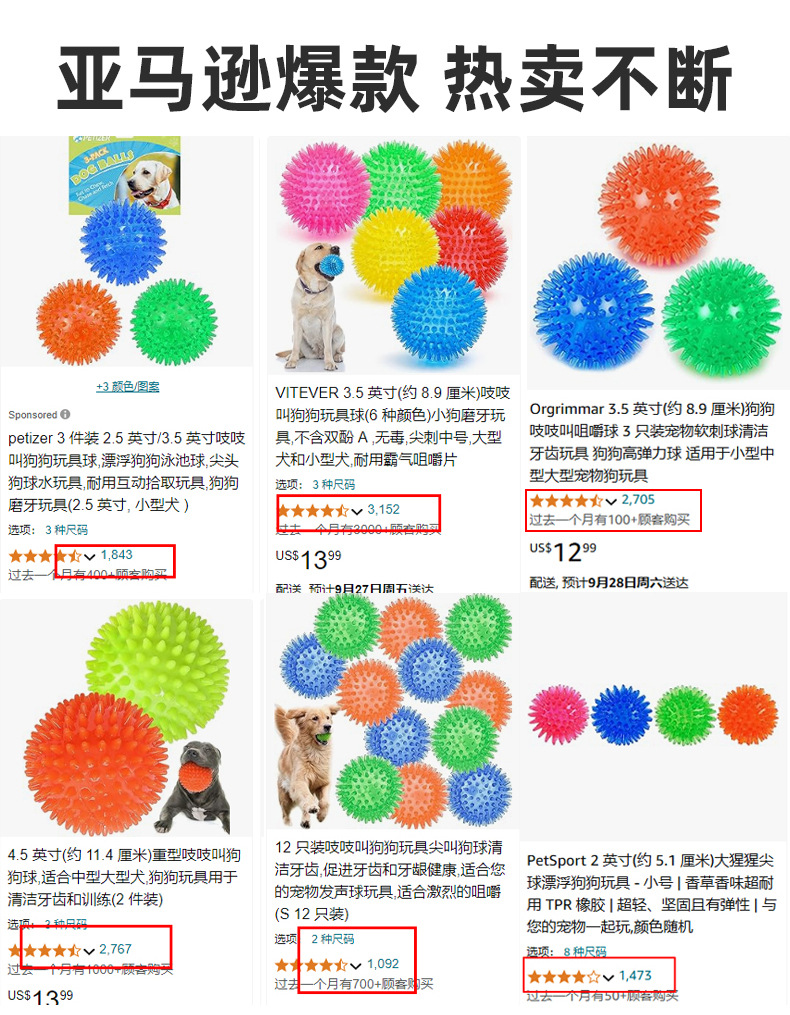 Dog Toy Image