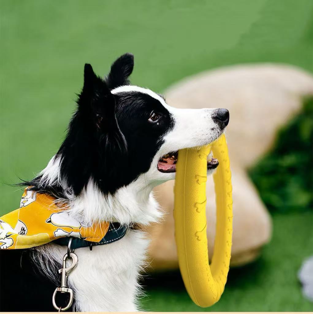 EVA Eco-friendly Dog Play Chew-Resistant Boredom-Relief Toy for Large Dogs (Border Collie Golden Retriever Puppy) Model LH-1