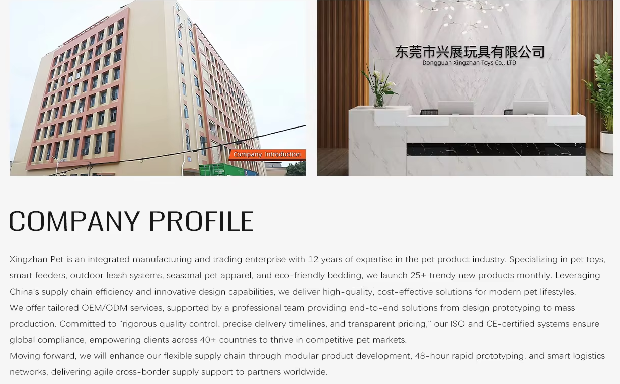 Detailed Features 2