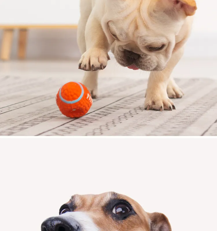 Latex Non-Toxic Rubber Pet Toys Ball Squeaky Dog Chewy Sounds Maker Toys