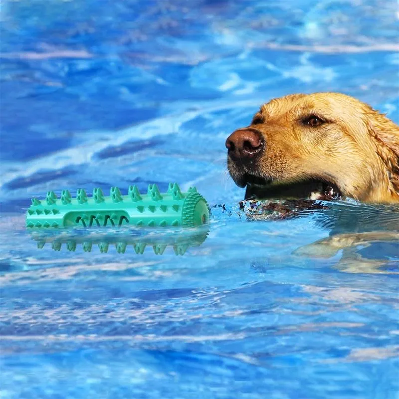 Classic Durable Dog Toothbrush Water Floating Molar Stick Dog Chew Toy Pet Doggy Dental Care Supplies