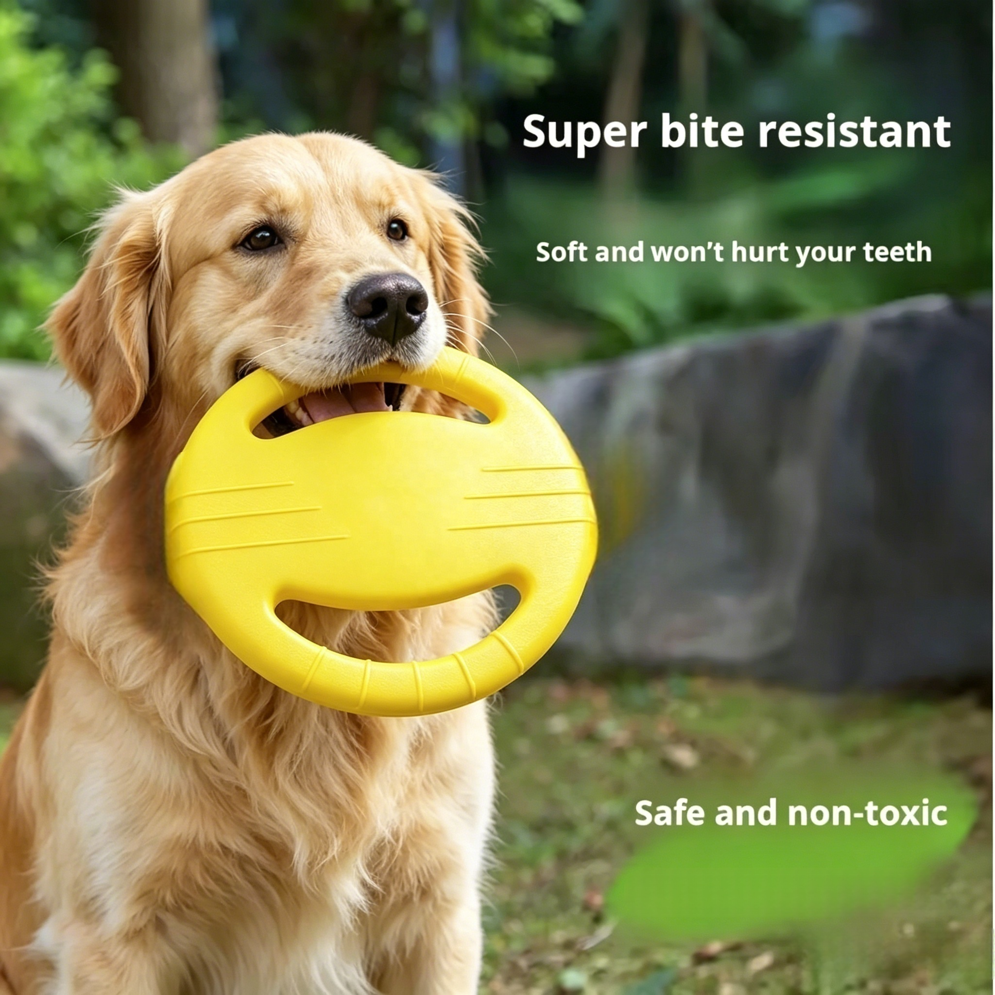 Pet Chew Toys Interactive Non-Toxic EVA Dog Bone, Durable Outdoor Bite Resistant Chew Toy OEM ODM Supported For All Dog Breeds