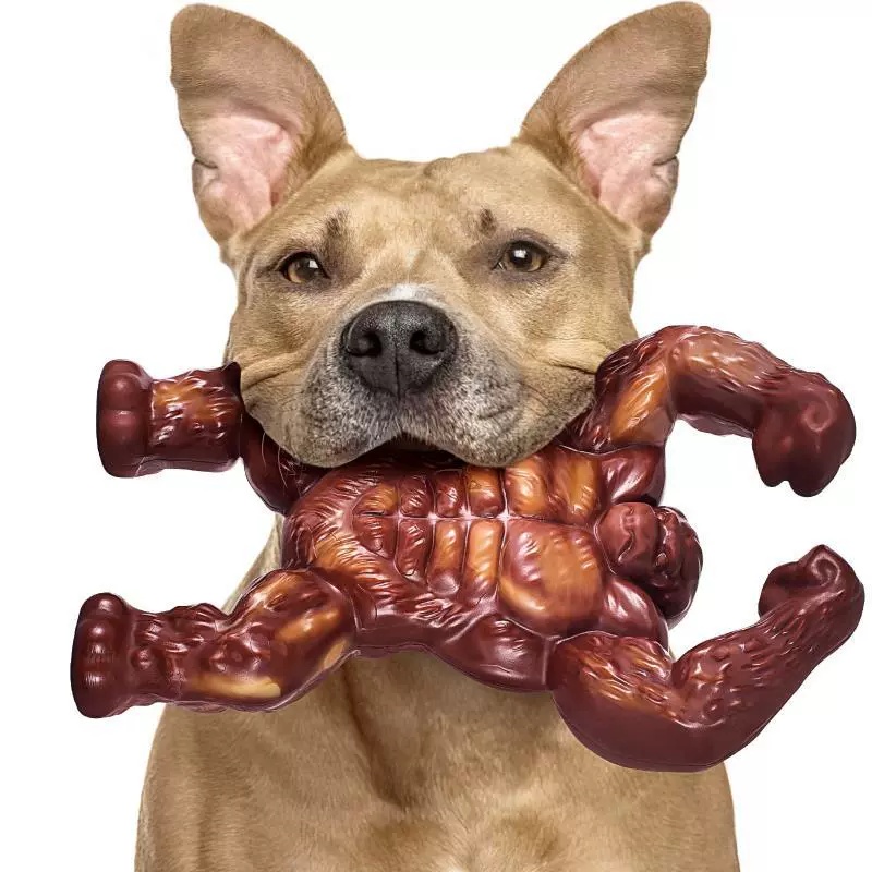 Dog Toy Showcase 7