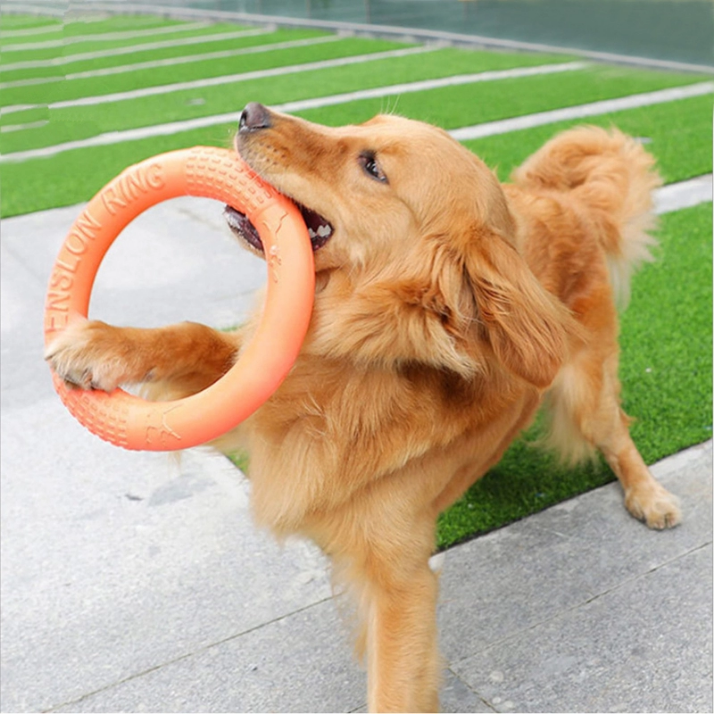 Dog Flying Disc Dog Training Toy