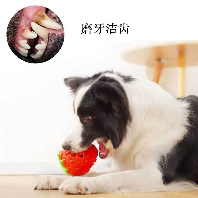 Wholesale Dental Custom Dog Toy Cotton Durable Rope Dog Chew Set Pet Toy Dog Chew Ball Pet Toy