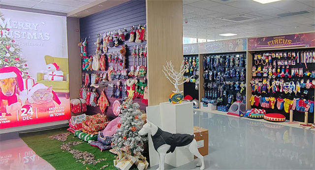 Dongguan Pitbull Toy Co. Ltd. factory overview and dog chew toy production