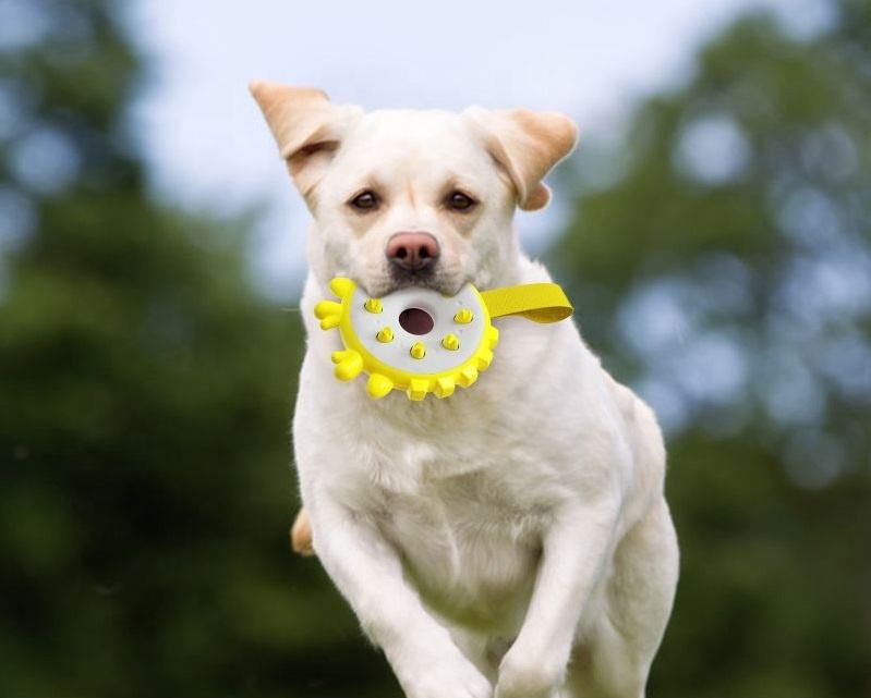 Outdoor Durable Pet Flying Disc with High Elasticity for Intensive Fitness Training Natural TPR Floating Dog Play Toy