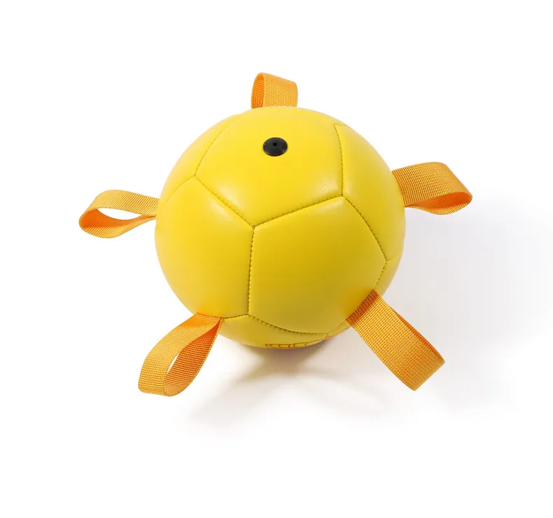 Dog Interactive Training Toy