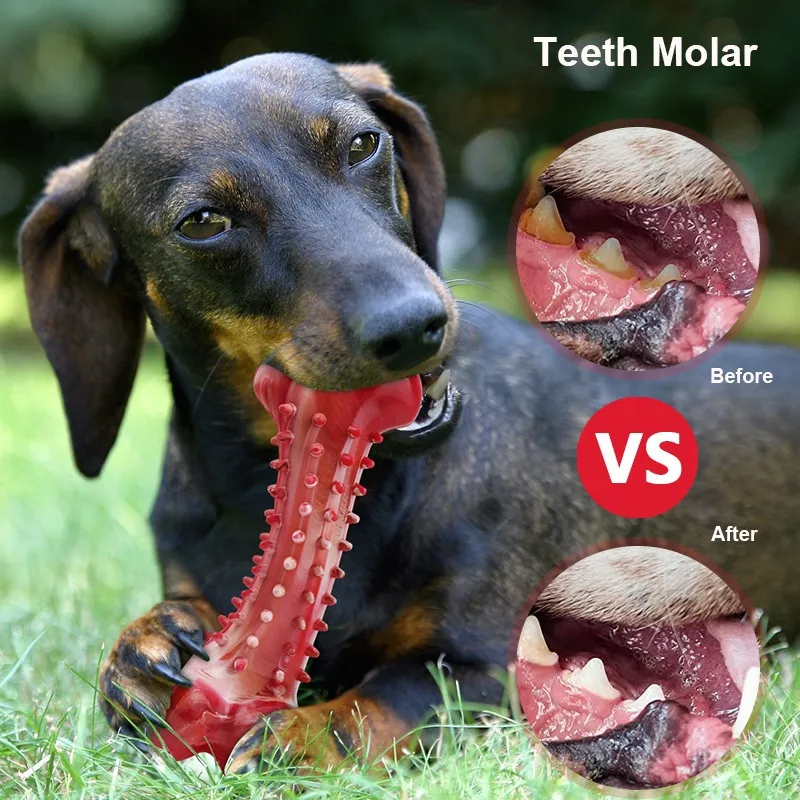 Durable Dog Soft Chew Toy for Indoor and Outdoor Teeth Cleaning