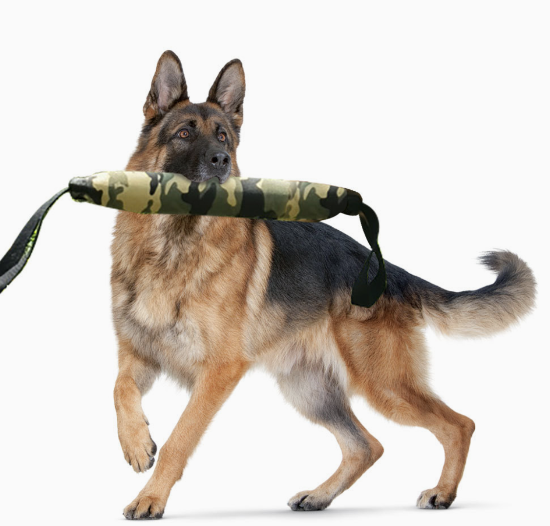Dog Training Camouflage Canvas Bite Stick, Bite and Pick up Teething Dog Bite Stick, Bite Target Dog Interactive Pet Toy