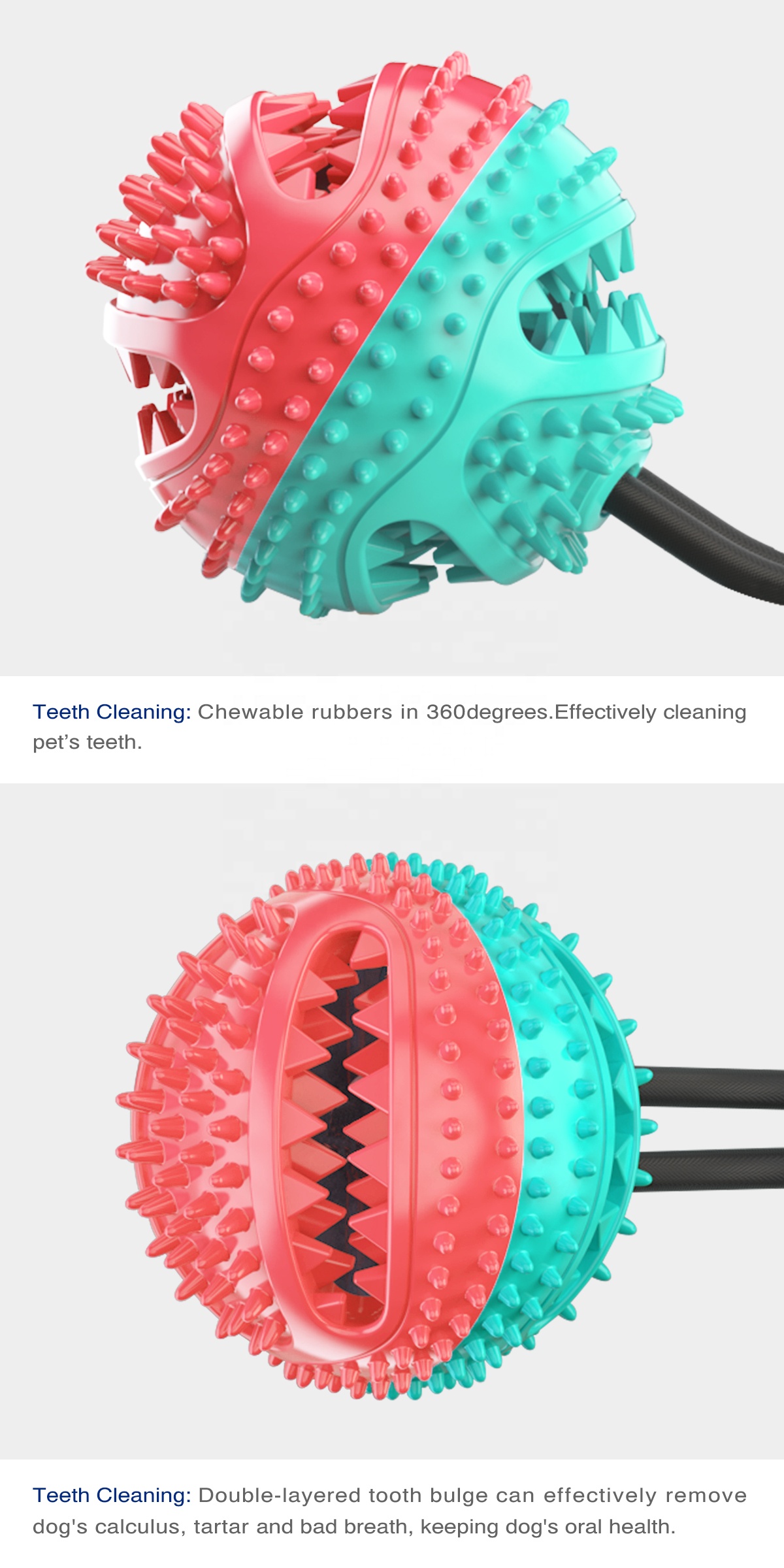 Product Detail 5