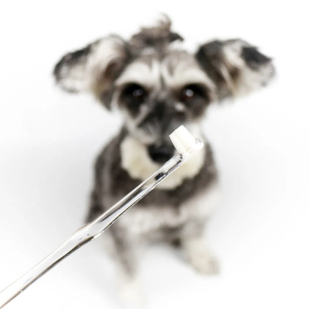 Pet Teeth Deep Clean Dense Brush Small Dog & Cat Toothbrush