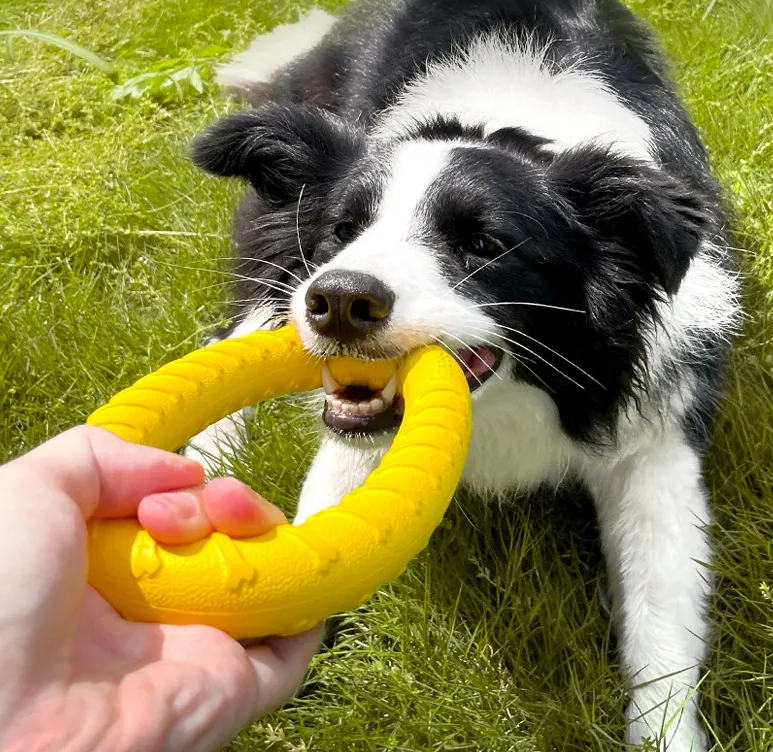 EVA Dog Pull Ring Tug Toy Environmental Protection Tough Bite Game Outdoor