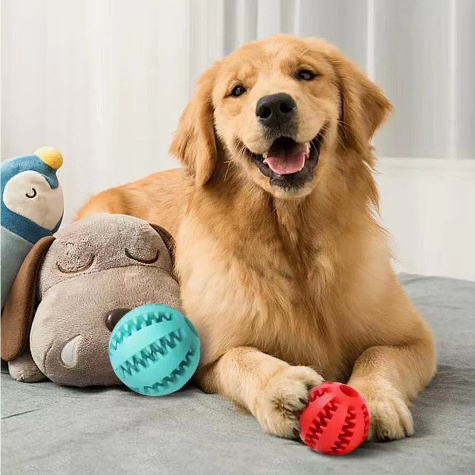 Pet Toy Feature Detail