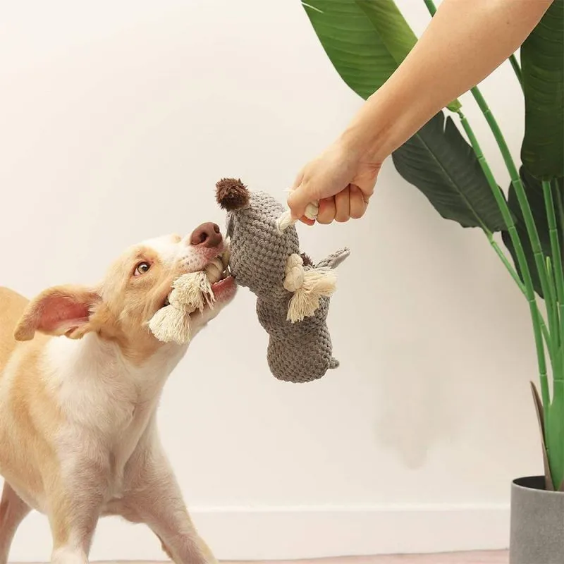 Natural Cotton Squeaky Dog Chew Toy Showcase 6