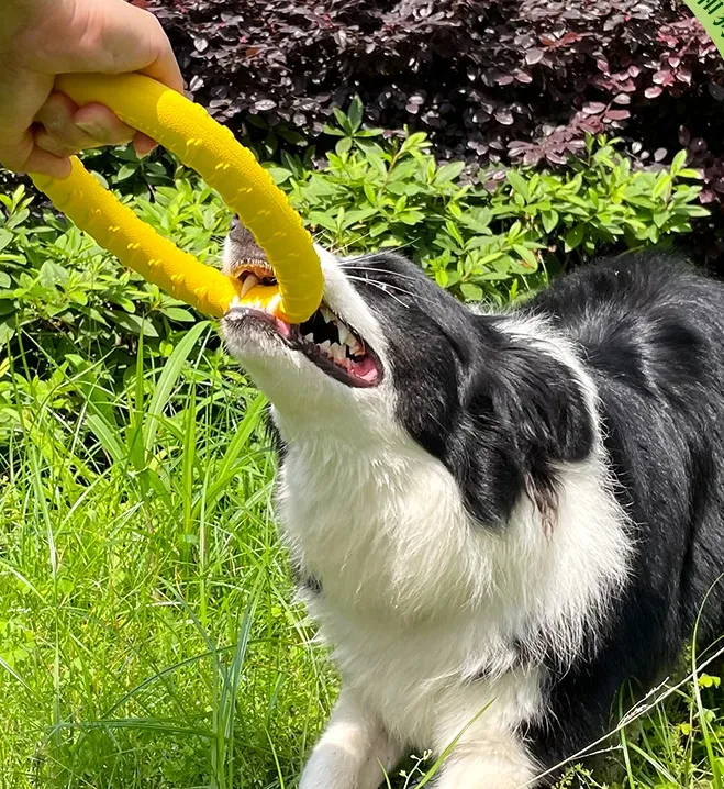 EVA Dog Pull Ring Tug Toy Environmental Protection Tough Bite Game Outdoor