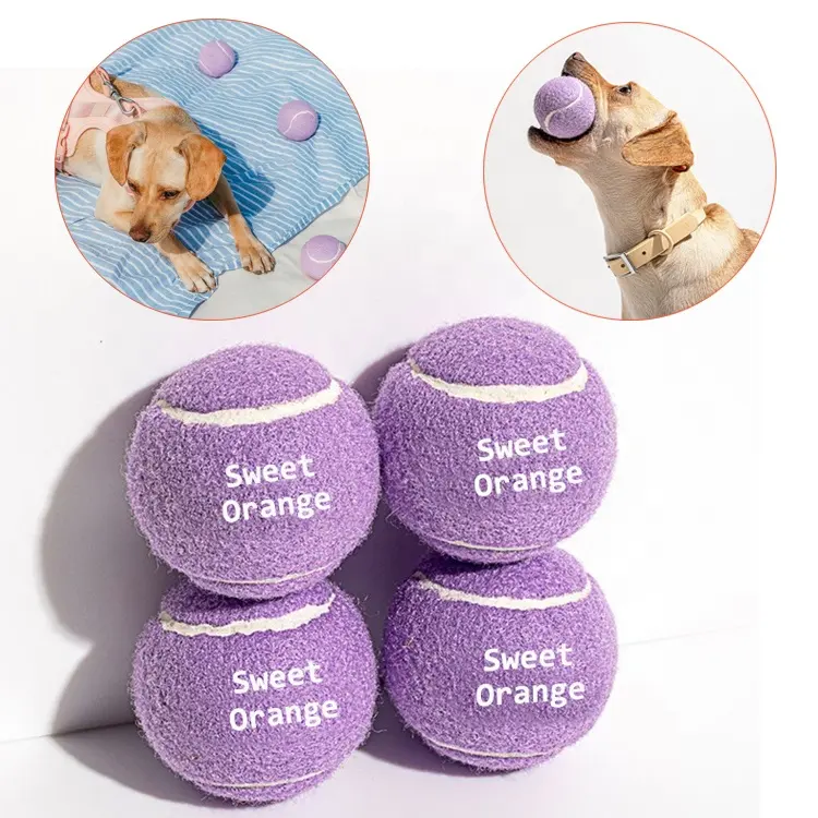 Hot Selling Eco-Friendly Lifelike 12 Colorful Rubber Tennis Ball Chew Toy Training Durable 2.5 Inches Interactive Dog Toy