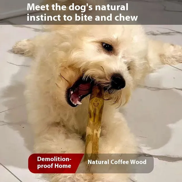 Dog Chew Toy 100% Coffee Wood Eco-Friendly Dental Chew for Dogs Durable Interactive Teeth Cleaning Exercise Toy