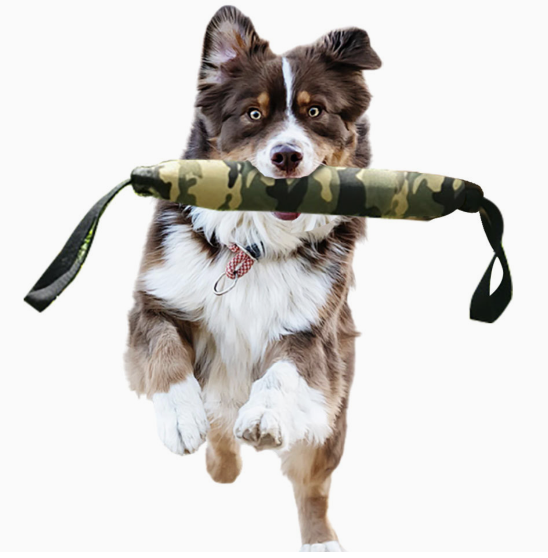 Dog Training Camouflage Canvas Bite Stick, Bite and Pick up Teething Dog Bite Stick, Bite Target Dog Interactive Pet Toy