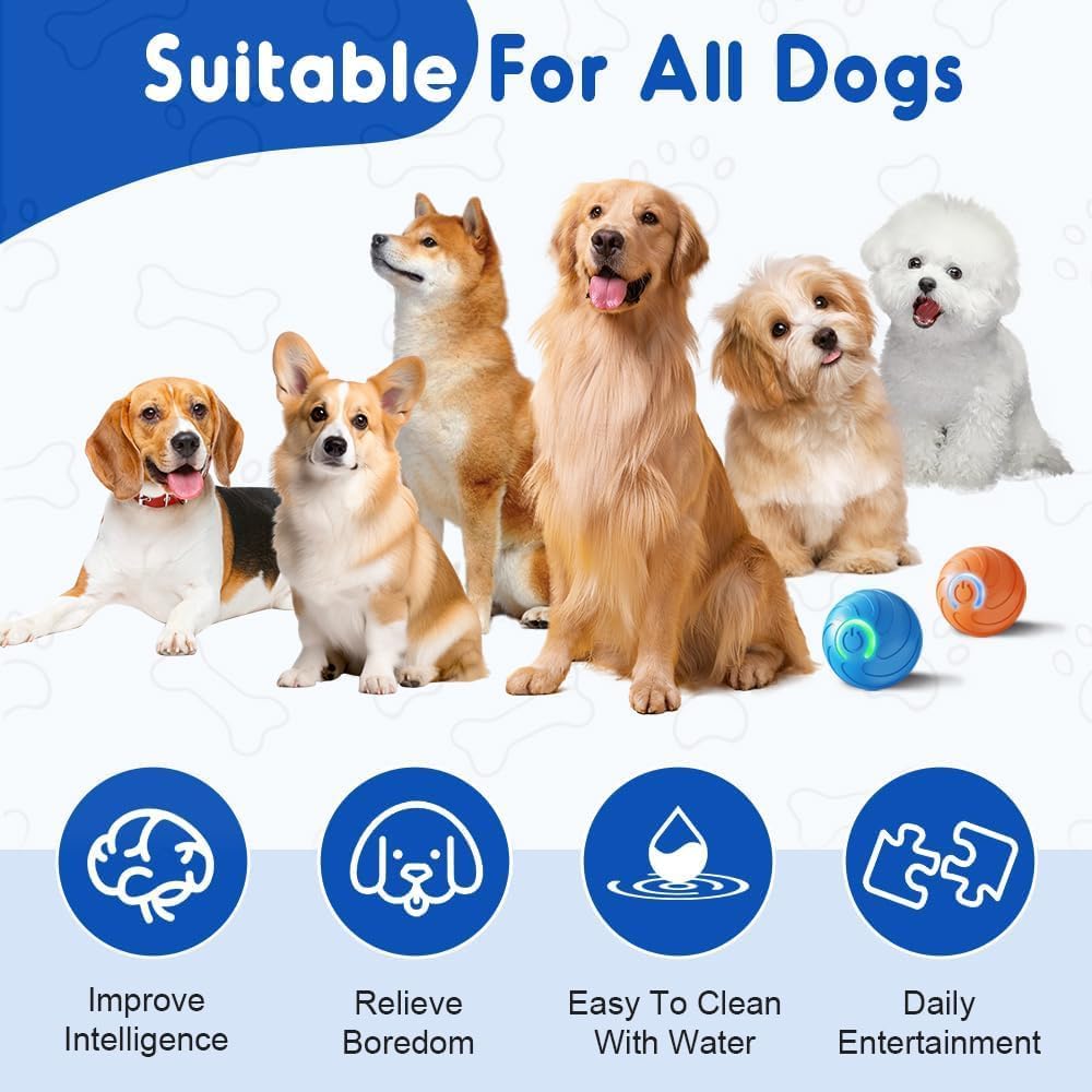 Orange Blue Indoor Rubber Luxury Pet Dog Interactive Movement Chew Ball Toys New Arrivals