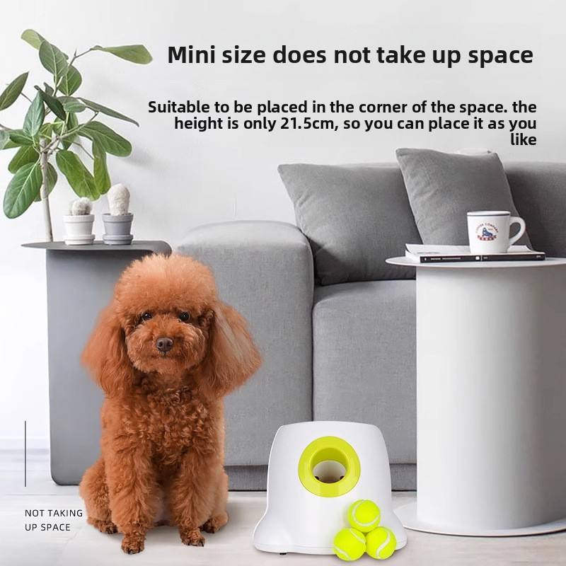 Luxury Interactive Cute Training Dog Cat Tug Toy Automatic Easy Clean Long Lasting Launcher Border Collie Playtime Made TPR Bee