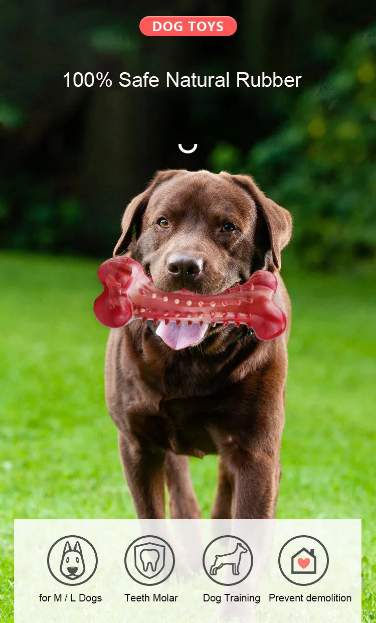 Durable Dog Soft Chew Toy for Indoor and Outdoor Teeth Cleaning
