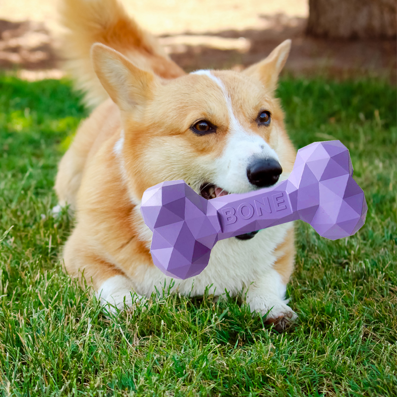 New Product Ideas Bone Shape Dog Toys Food Grade Nature Rubber Tpr Durable Pet Tooth Cleaning Interactive Dog Chew Toys