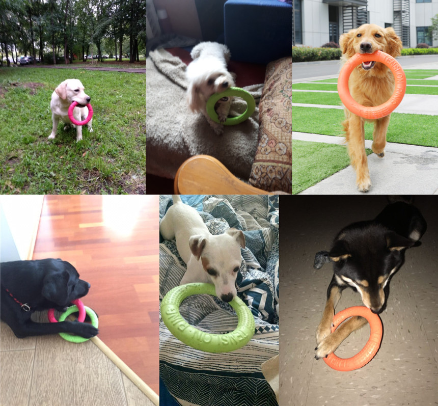 Dog Flying Disc Dog Training Toy