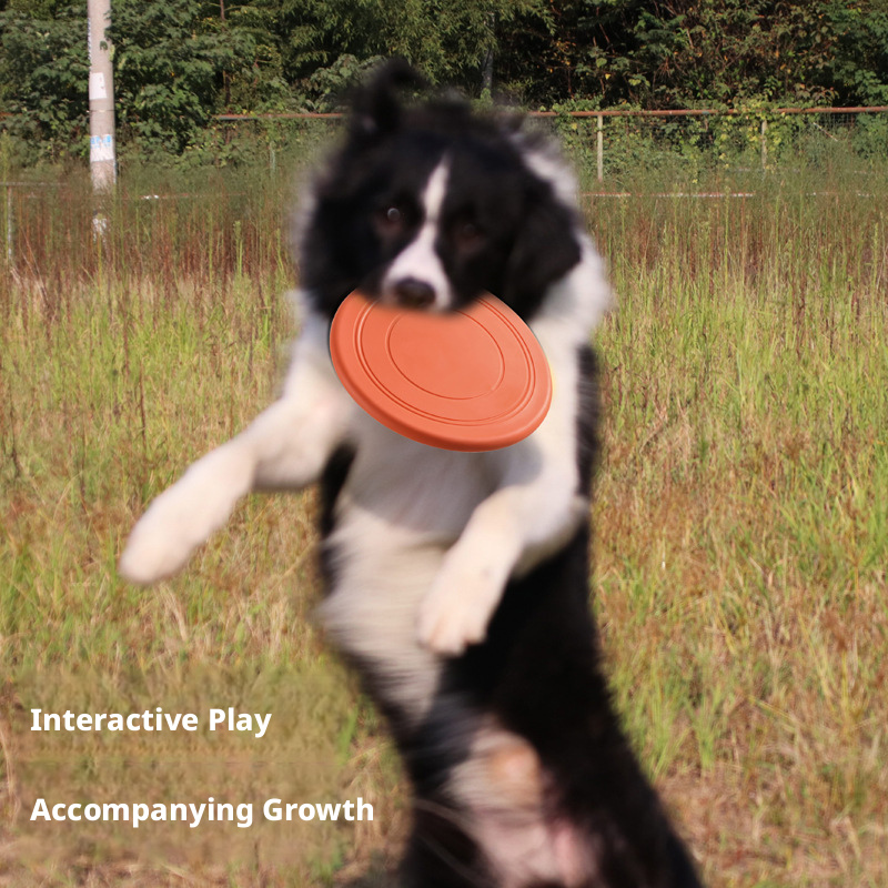 Dog Training Chew Toy Floating &amp; Bite-Resistant EVA Material Funny Style Soft Pet Supplies