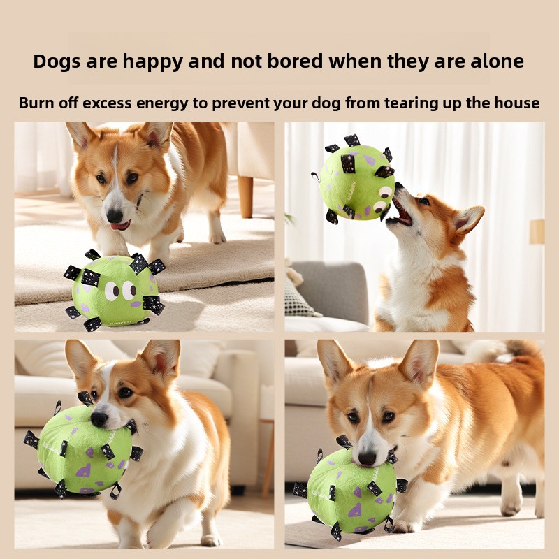 Eco-Friendly New Dog Football Chew Toy Puppy Round Training Ball with Built-in Bell Carton Pet Supplies Wholesale