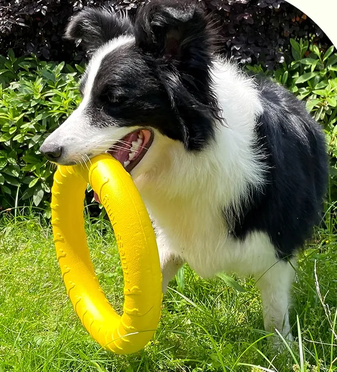 EVA Dog Pull Ring Tug Toy Environmental Protection Tough Bite Game Outdoor