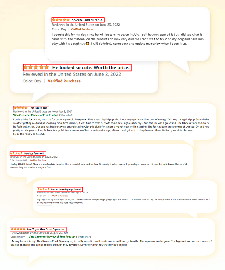 Customer Reviews and Testimonials