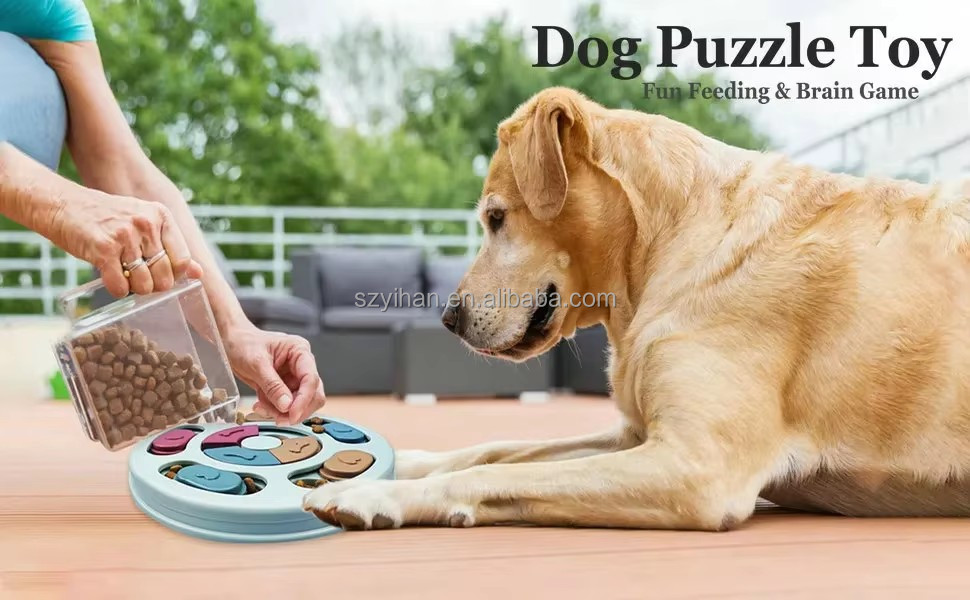 Product Description Image 1