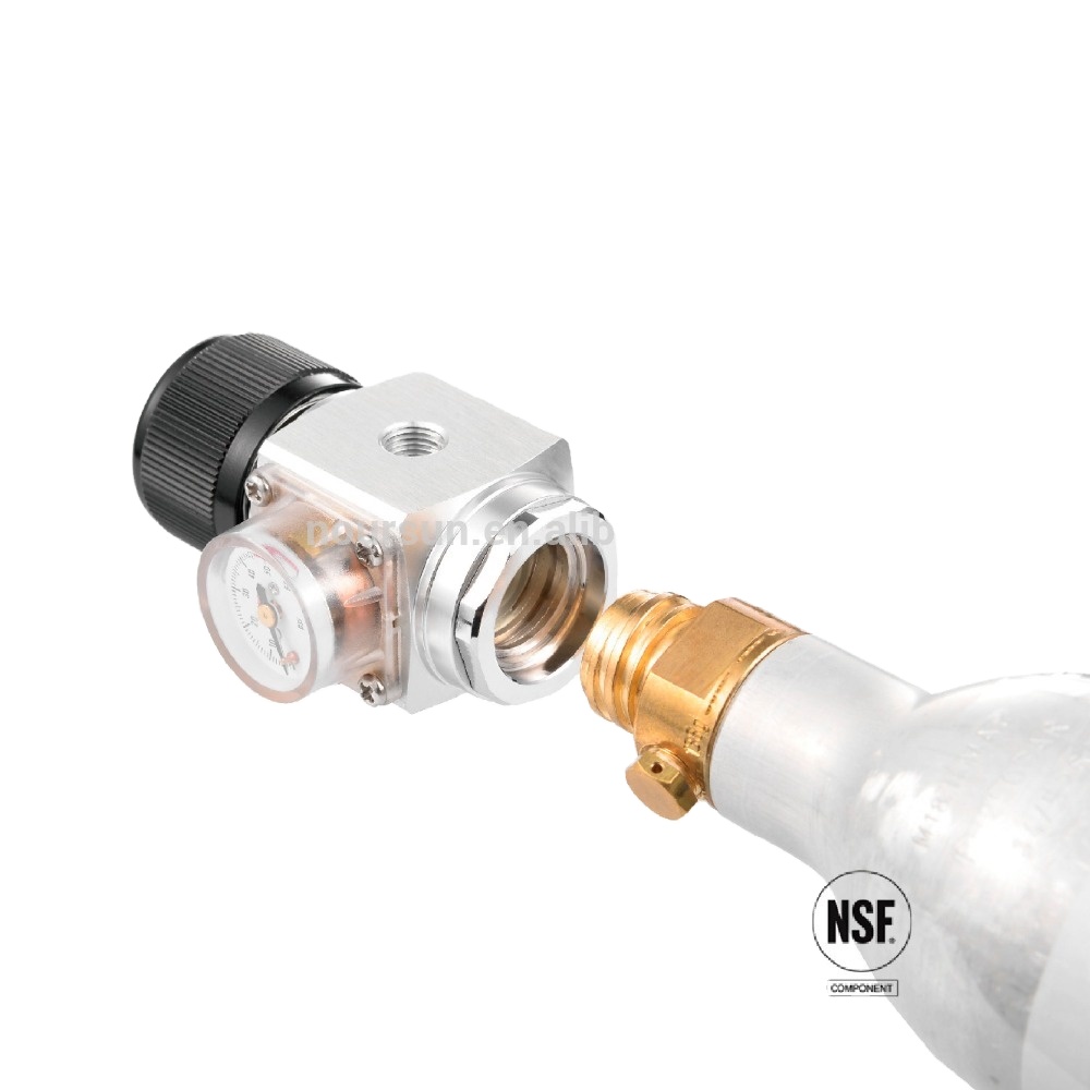 Mini Cold CO2 Regulator For Homebrewing Soda Maker Sparkling Water Machine Beer Keg Electric/Gas 3.5L Capacity Beverage