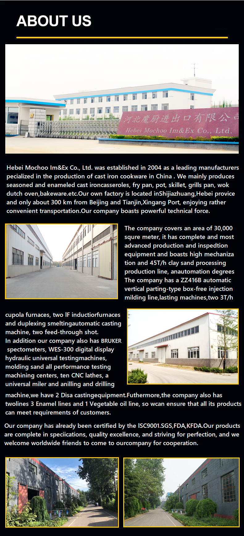 Company Info