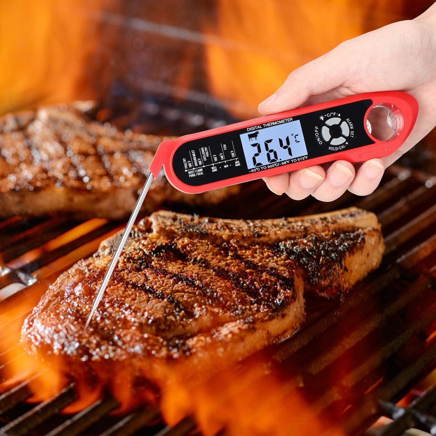 BBQ Thermometer Detail 1