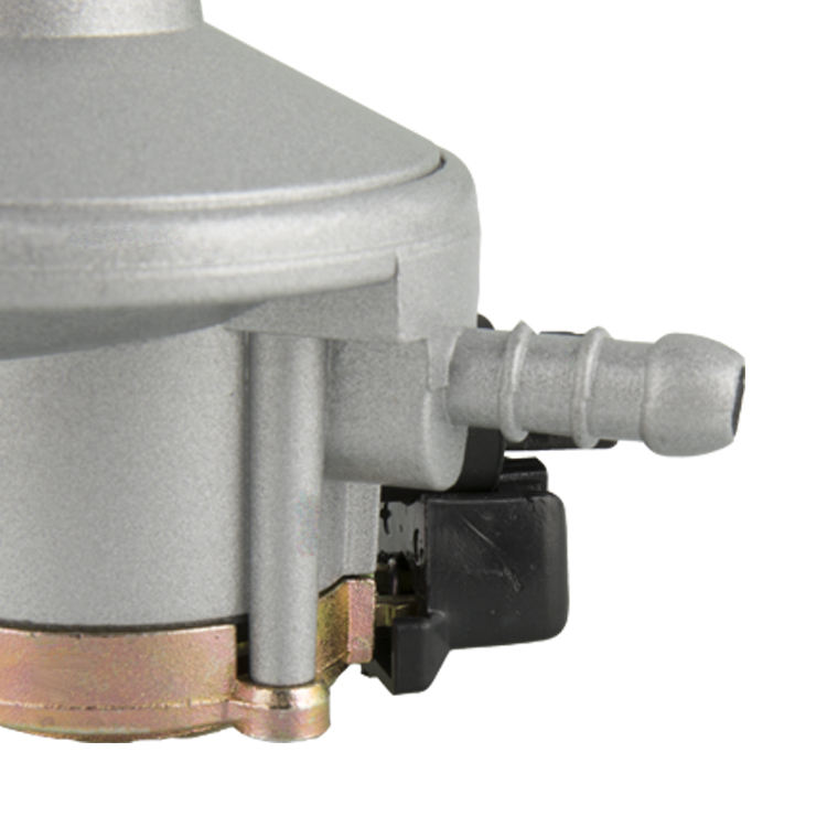 Gas Regulator 6