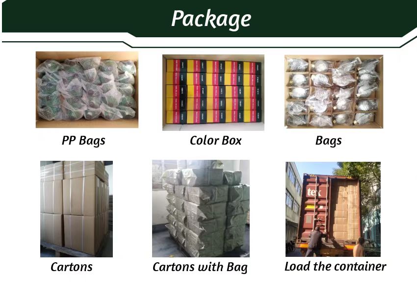 Packing Facility