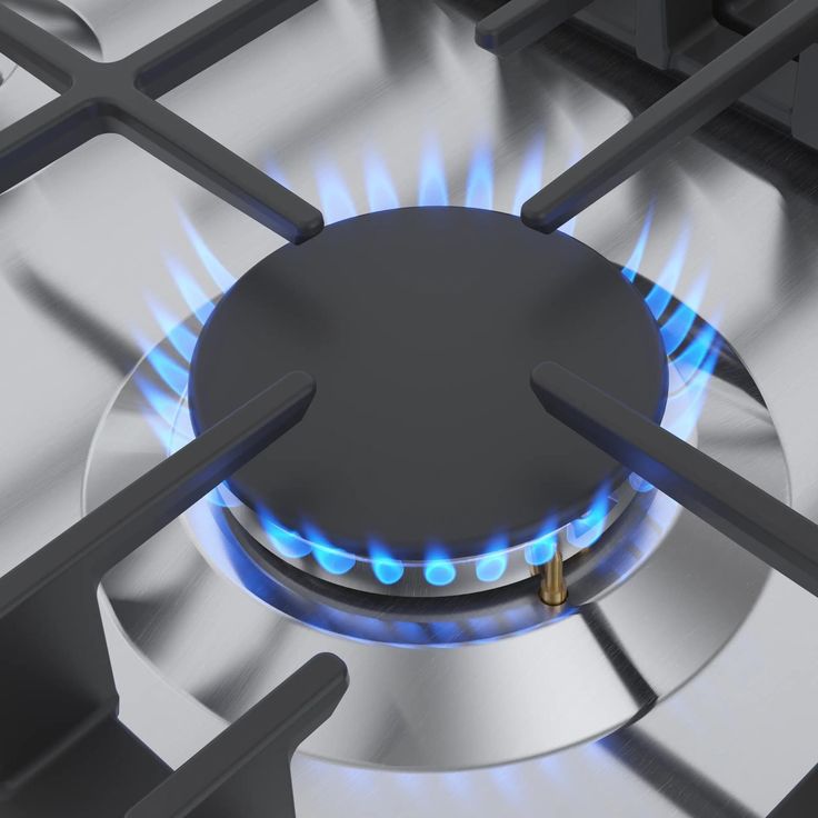 Factory Customized Stainless Steel LPG Gas Regulator for 4 Burner Kitchen Stove for Outdoor Household and RV Use