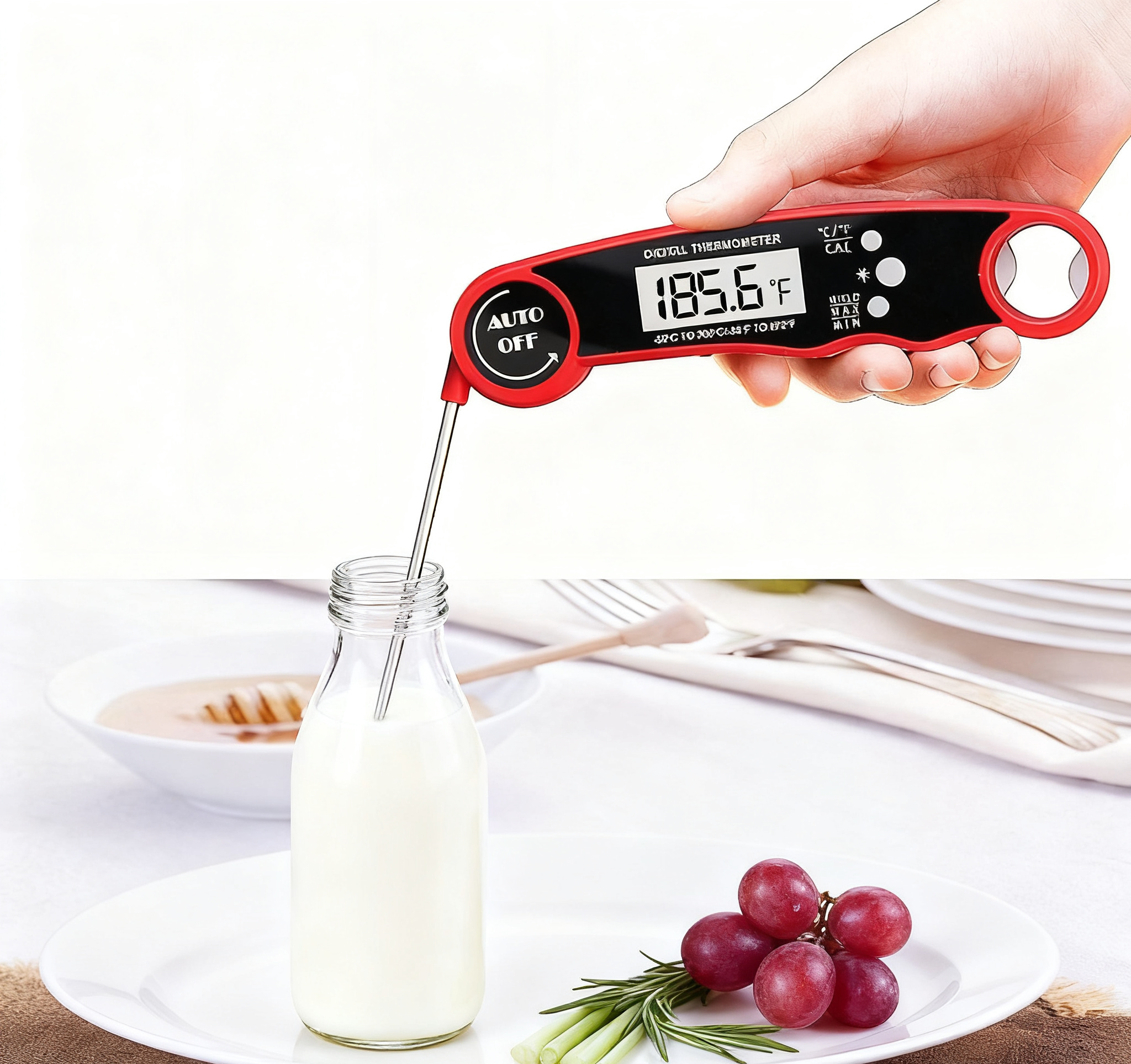 Digital Display Interface