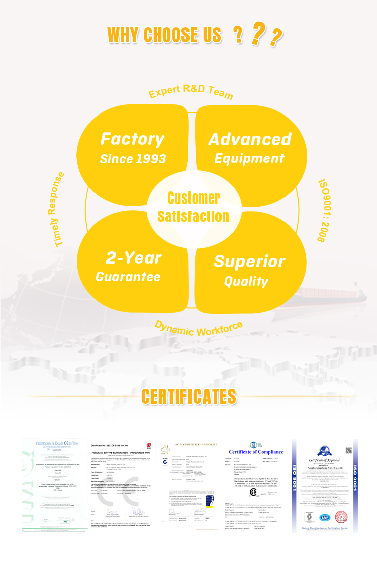 Why Choose Us infographic