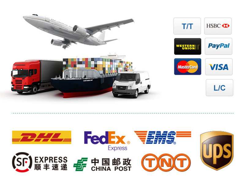 Shipping Info