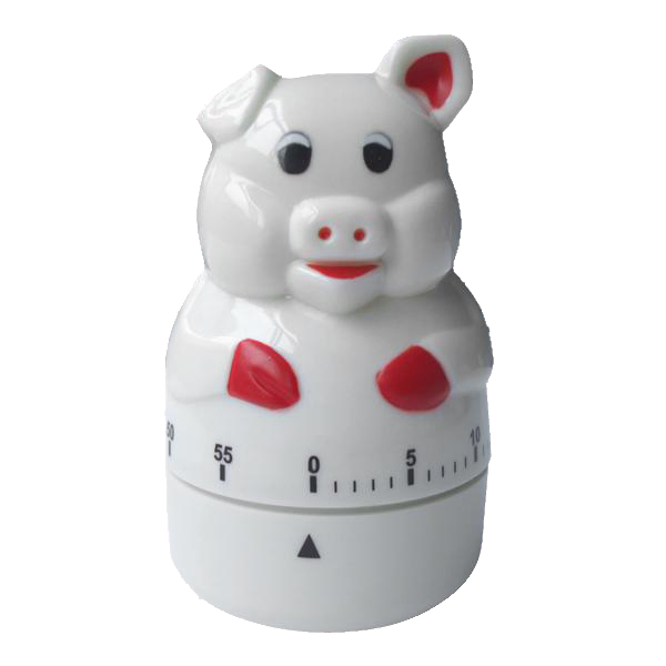 Cheap Promotional New Style Sound Kitchen Timer/Kitchen Electric Cooker Timer