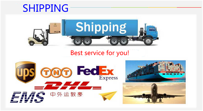 Packaging Box Option 2