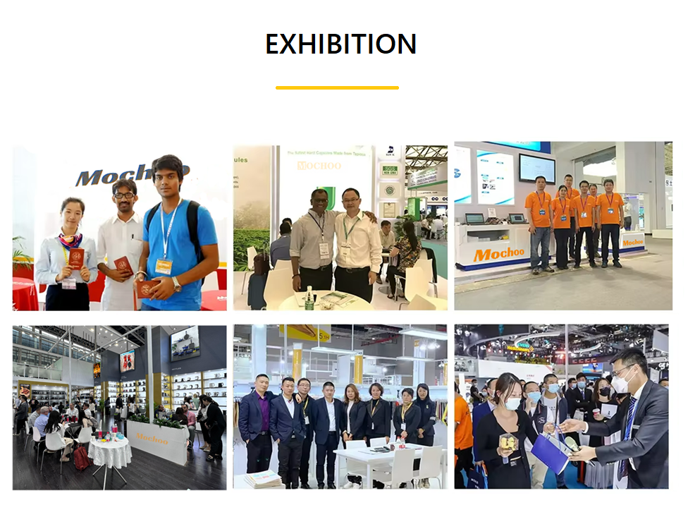 Company Info
