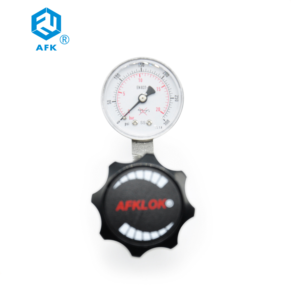 Pressure Regulator Model R11 600psi
