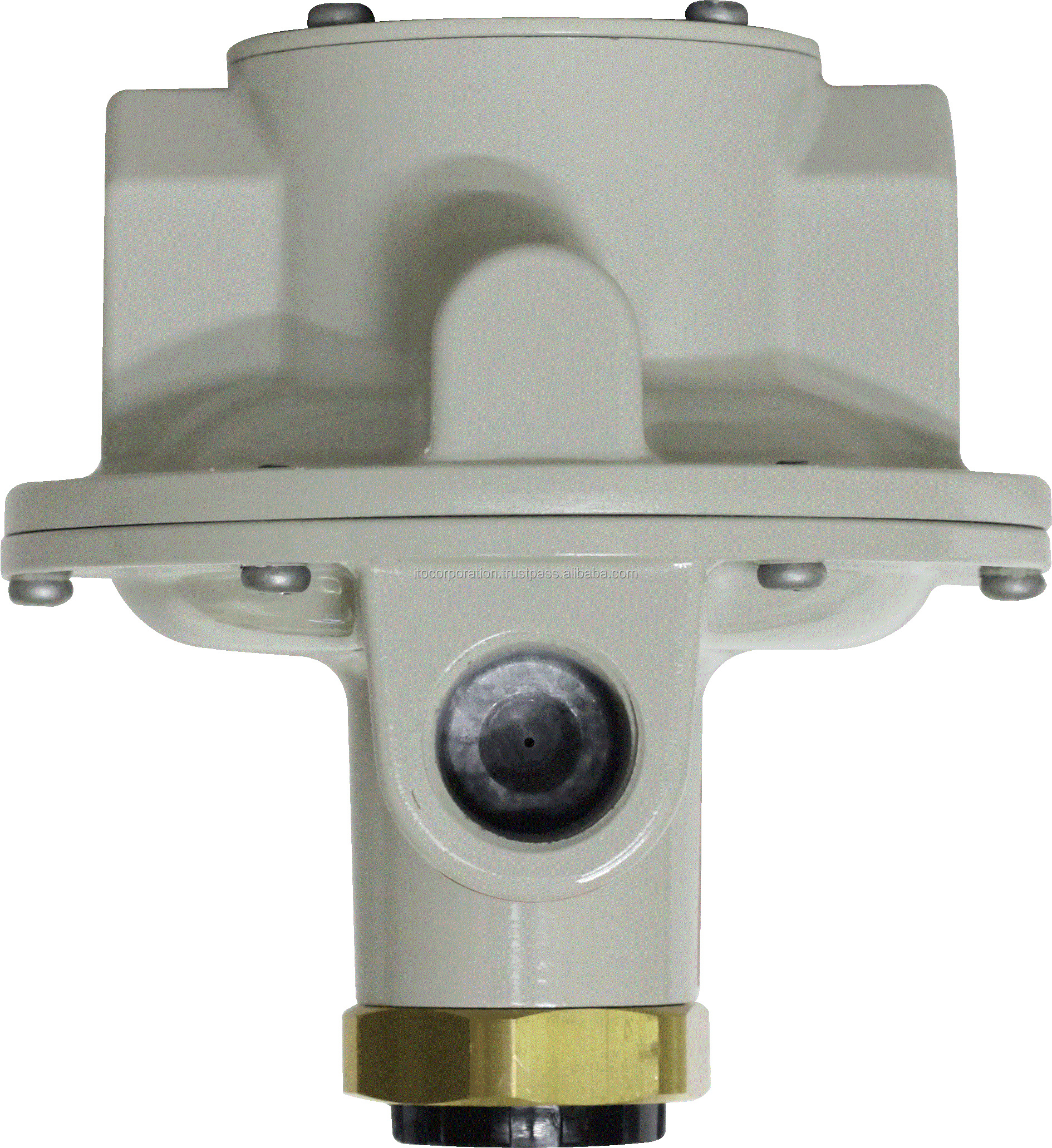 Equalizing Regulator Type Detail